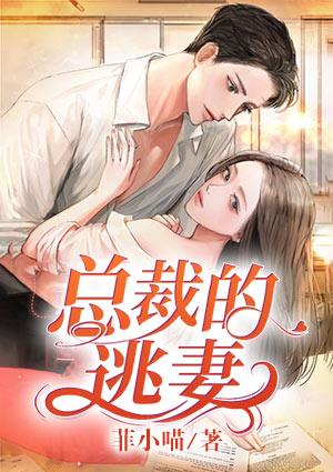 恍若晨曦写的首席总裁的逃妻
