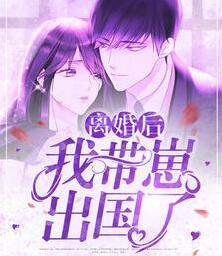 离婚后带崽出国了全文免费阅读