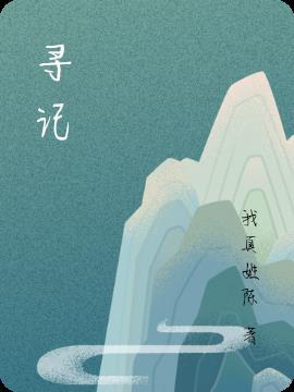 寻秦记解说全集完整版