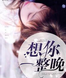 想你一整晚(陆霆深