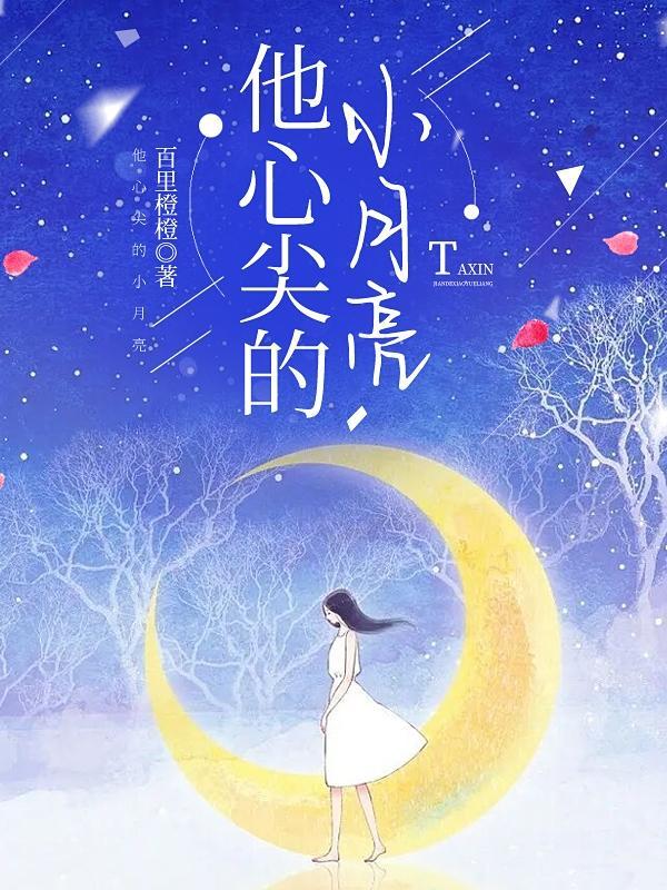 他心尖的小月亮晋江