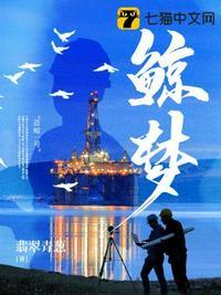 鲸梦直播平台