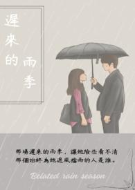 迟来的雨季全集大结局