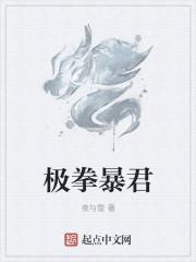 极拳暴君免费