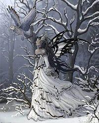 雪中荒漠讲的什么故事