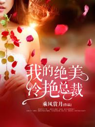 我的绝美冷艳总裁作者乘风赏月