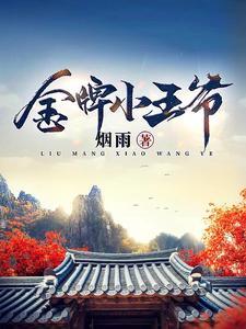 金牌小王爷之风起朝堂短剧