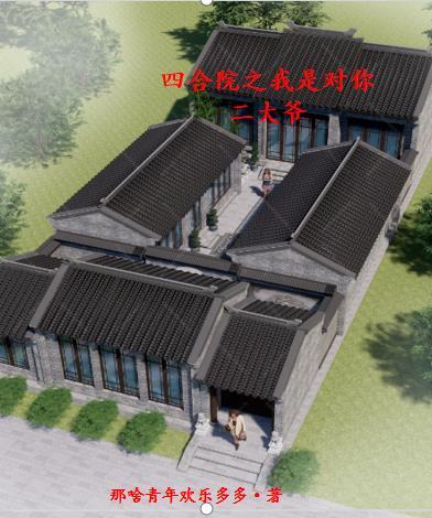 四合院我是二大爷完结版