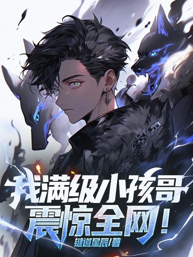 我满级小孩哥震惊全网txt百度