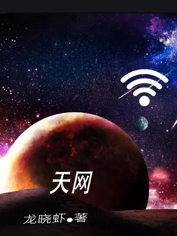 天网情网