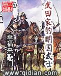 武田家的明国武士怎么样