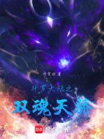 斗罗大陆之双魂天骄 乔贪欢