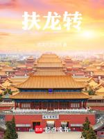 大唐扶龙传