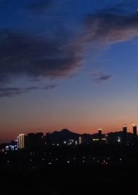 诱孀by苦命钢琴牲