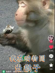 我在动物园那些年车