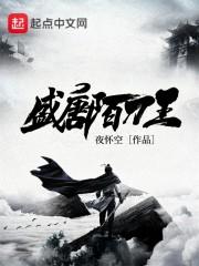 盛唐陌刀王TXT精校