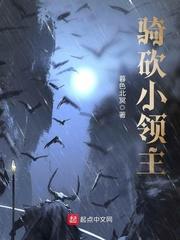 骑砍小领主暮色北冥