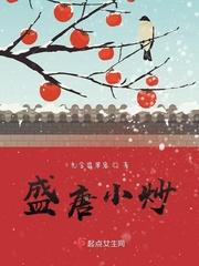 盛唐小炒讲什么