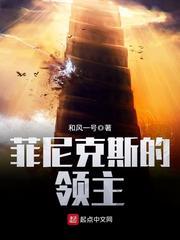 菲尼克斯的领主 和风一号