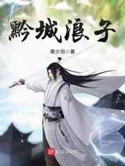 城边浪子电视剧