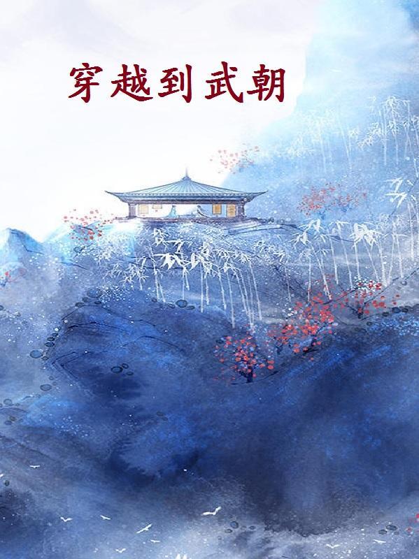 穿越武朝七皇子秦泽的