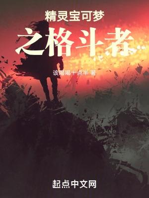 精灵宝可梦格斗版
