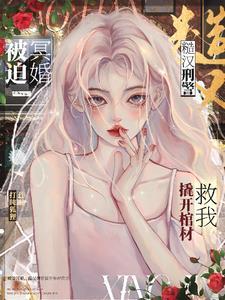 刑警队长宠折腰好看吗