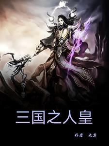 三国志之霸王的大陆