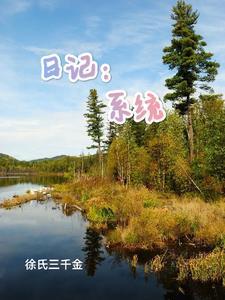 系统日志的概念和功能