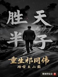 踏雪至山巅列表