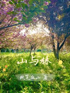 山与林园林景观设计工程有限公司