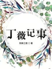 丁薇记事结局是什么