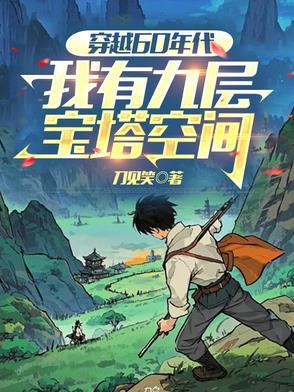 穿越60年代我有九层宝塔空间的