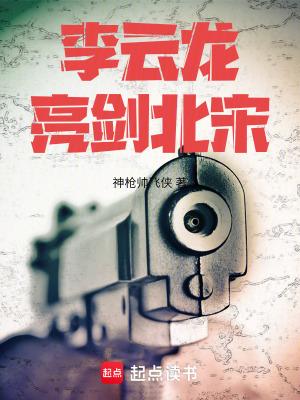 李云龙亮剑北宋 笔趣阁