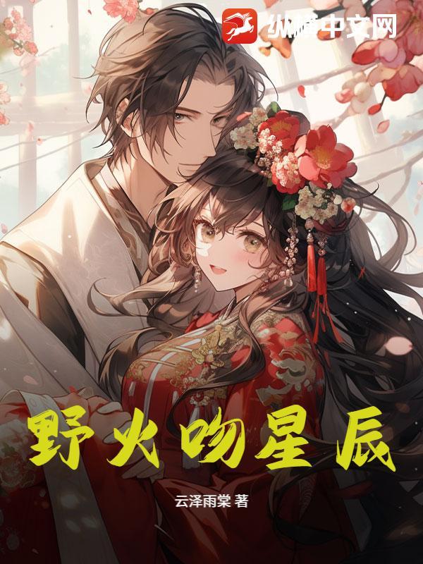 电视连续剧野火之恋