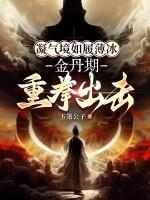 凝气筑基结丹元婴