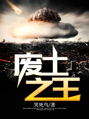 废土之王维基