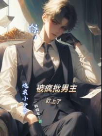 炮灰甲少爷重生后惊呆了