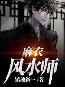 麻衣风水师乔家扫地僧是谁