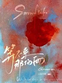 等不来那场雨百度