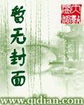 末世之三妻四妾在线阅读
