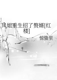 红楼梦里凤姐出场的好词好句