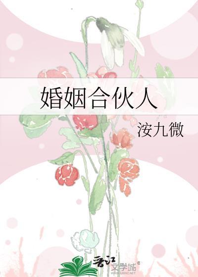 婚姻合伙人粤语