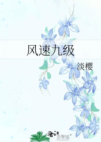风速九级by淡樱笔趣阁