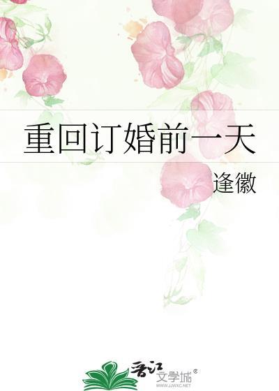 重回订婚前一天txt