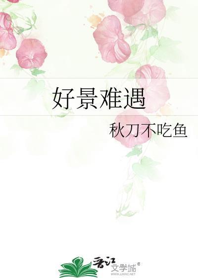 好景难遇免费阅读