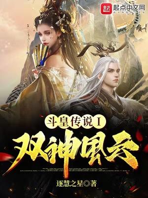 斗皇传说1双神风云免费阅读