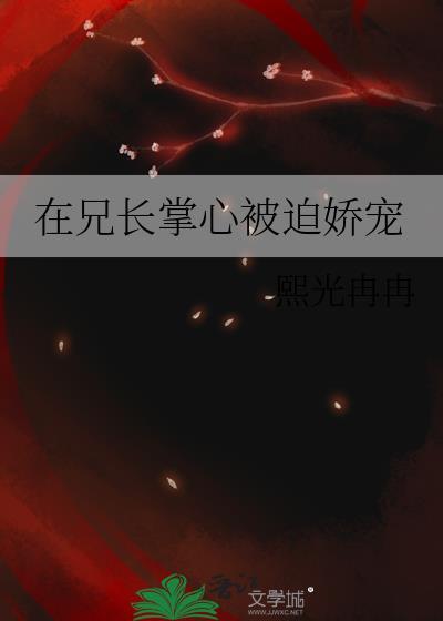 兄长在上小