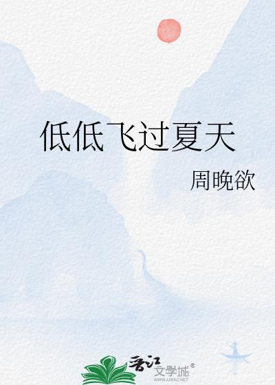 低低飞过夏天讲什么
