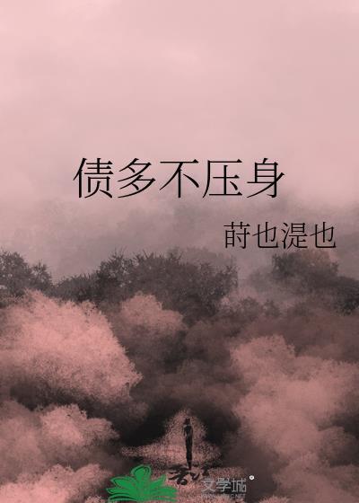 债多不压身上一句